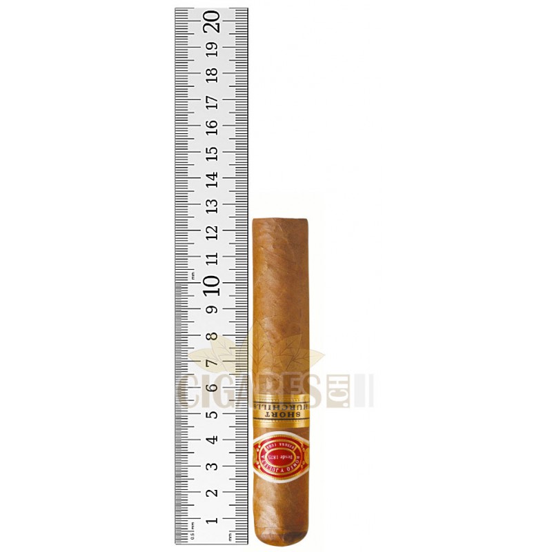 Romeo y Julieta Short Churchill
