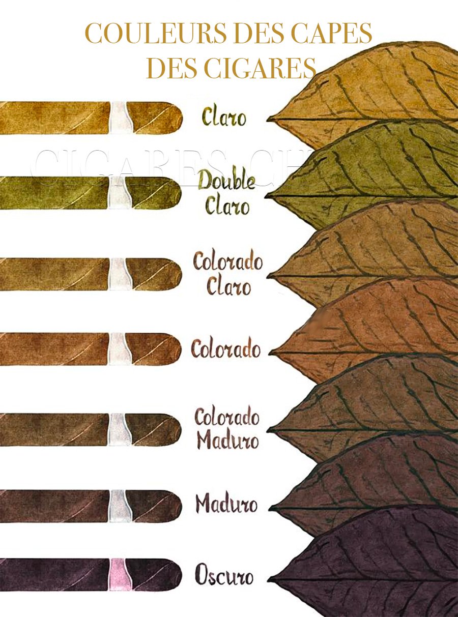 Tabac graines long red graines cigares tabacs