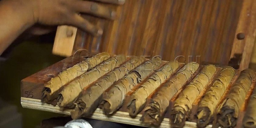 Les cigares dominicains : un terroir tout en finesse